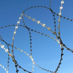 СББ спиралевидный барьер безопасности 500х50х3 СББ спиралевидный барьер безопасности 500х50х3