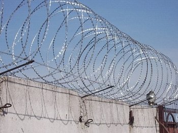 АСКЛ армированая колючая лента спиралевидная 500х50х5 АСКЛ армированая колючая лента спиралевидная 500х50х5