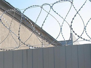 АСКЛ армированая колючая лента спиралевидная 600х50х5 АСКЛ армированая колючая лента спиралевидная 600х50х5