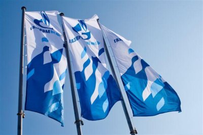 Флаг сетка 100*200 см